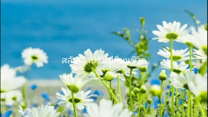 สลับเจ้าบ่าว