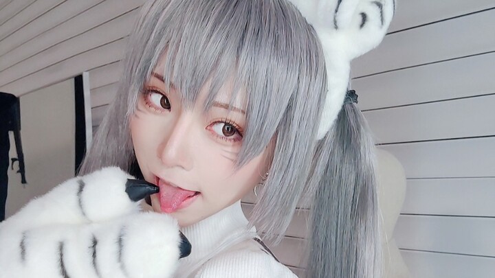 The fierce tiger has descended the mountain! Come and give the little white tiger a good ruffling!