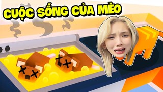 Nếu Như Mình Có Cuộc Sống Của " 1 CON MÈO ' Thì Sẽ Như Thế Nào ???