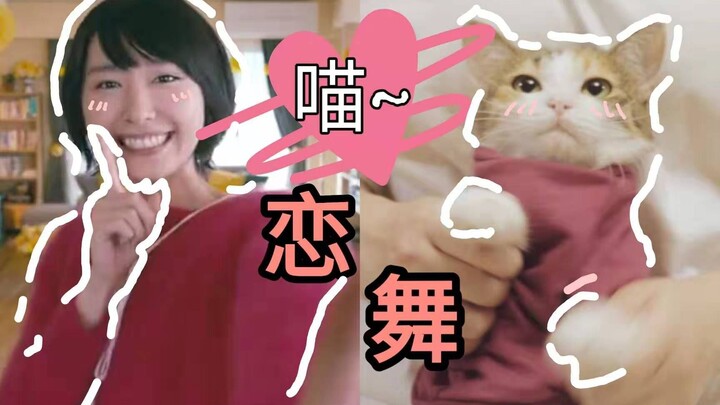 Mèo dễ thương nhảy “Liên Vũ” cực đáng yêu~ Em cũng muốn làm vợ anh nha meow~ | Mèo Vũ |