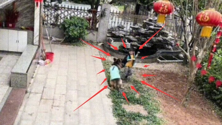 Thần khuyển xuống thế gian để cứu độ chúng sinh