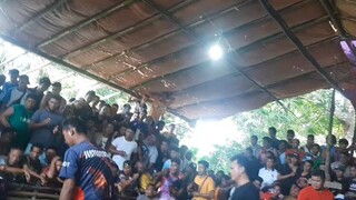 2x winner Pumpkin HMA win at El nido