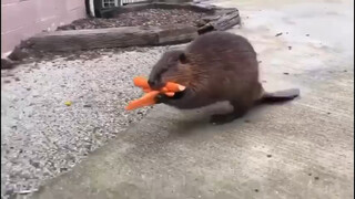 This is you who came back to your bedroom after dinner