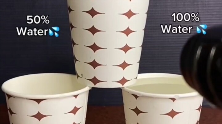 Can the cup withstand the flames in the end?
