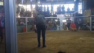 first fight sa two hits mga boss