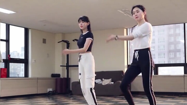 [Chinese subtitles] Art High School student teaches a sister with zero basic dance skills to dance I