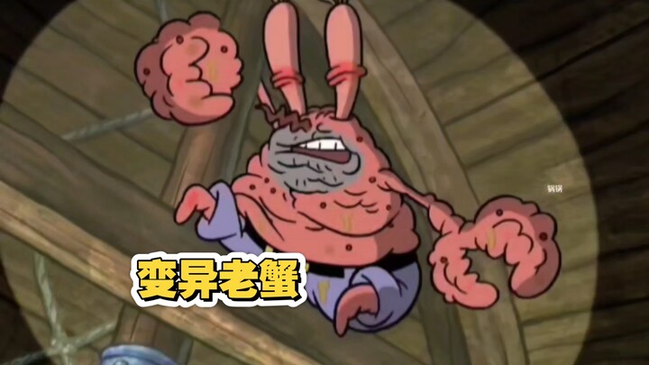 Màn đại chiến sinh vật biển này!