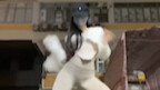 舞蹈自拍