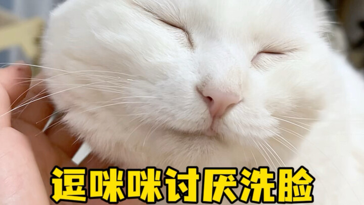 ตั้วหมีหมีเกลียดการล้างหน้า