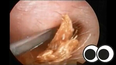 ในวันที่ข้าตกลงสู่ห้วงมาร ข้าขออาราธนาพระเจ้าแท้จริงทรงลงอาญา! หากข้ามีความผิด ก็ขอให้ข้าพ้นจากวัฏสง