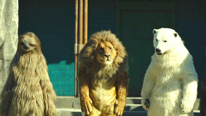 Penjaga kebun binatang berdandan jadi hewan untuk menarik pengunjung, tapi beruang kutub yang minum 