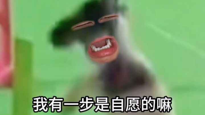 “Cuộc thi treo cổ”