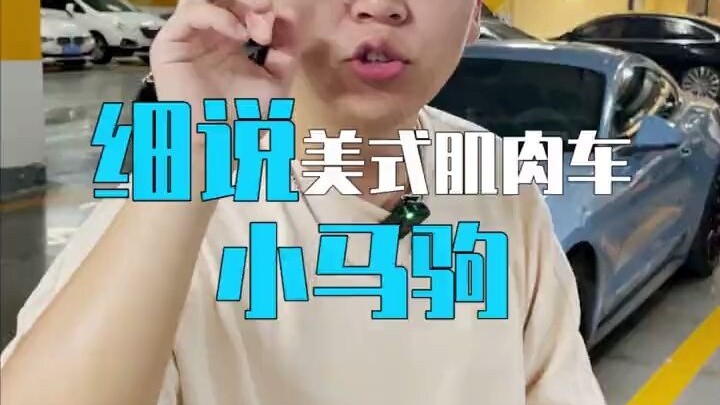 What’s the big difference between a standing horse and a lying-down horse?