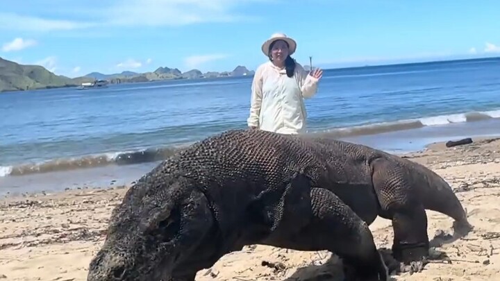 Sharing India’s Five Distinct Social Classes.