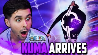 "KUMA HAS ARRIVED" One Piece Ep. 367,368 Live Reaction!