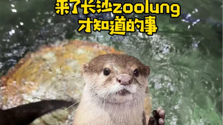 Don’t miss this seriously fun zoo!