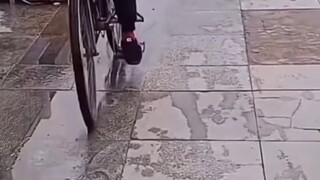 ถั่วฝักยาวจะขายยังไงกันแน่!!