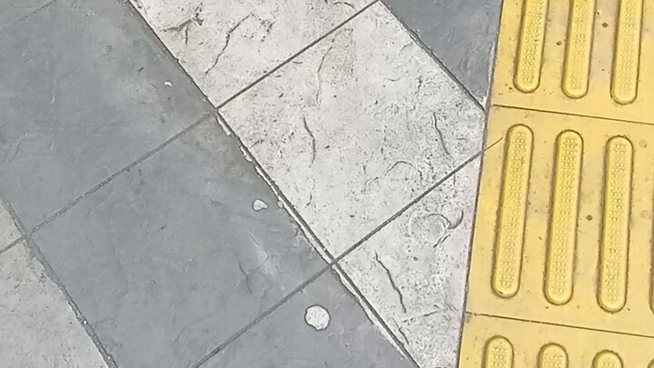 apa lah