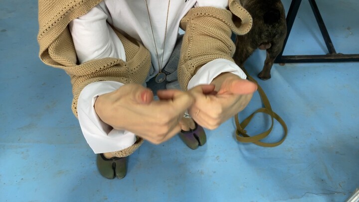 Every time I train a dog that bites, I bring a puppy with me.