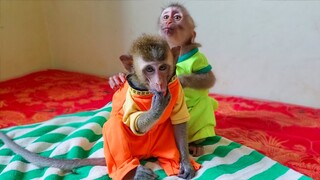 Good Sister! Little adorable Yaya tries to comfort Toto while waiting for Mom to give them the fruit