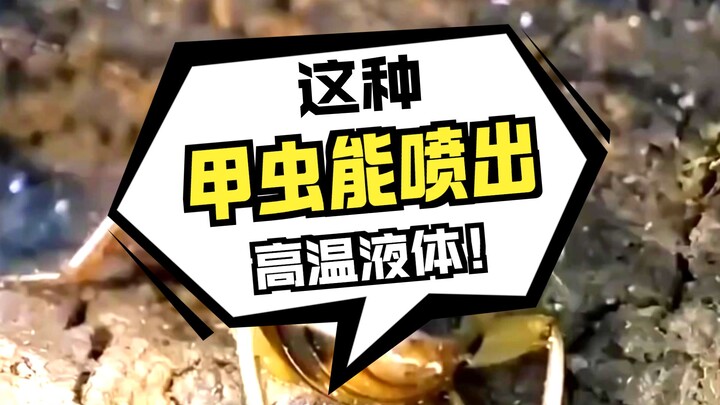 Its butt hole is seriously badass—heat-resistant and corrosion-proof!