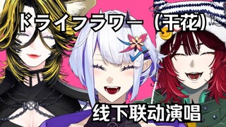 [مشوي/ثعلب الحوت] البداية كانت مكسورة لكن التتابع الغنائي مع الانسجام الجميل