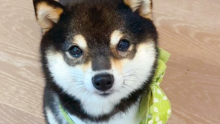 Mom, am I awesome or what?