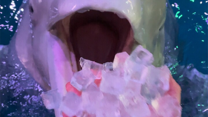 Eating Ice Cream with Original Sound