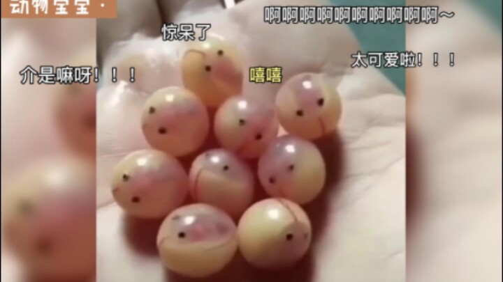 ใครบ้างที่ยังไม่ใช่เด็กน้อยล่ะ?