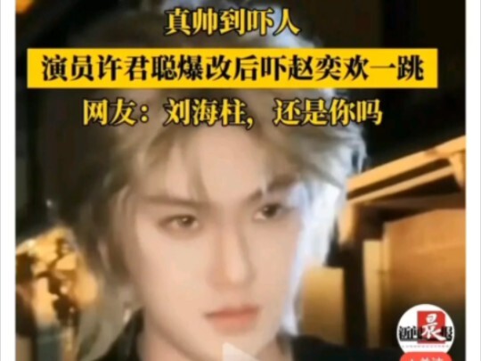 “Liu Haizhu has gone into business”