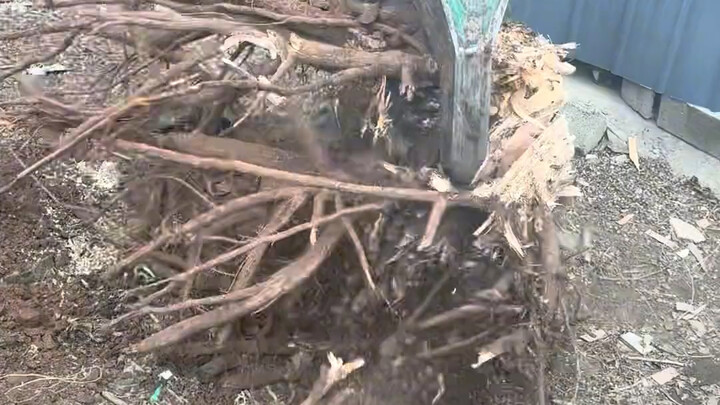 Cực kỳ thoải mái