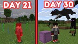 Minecraft, but Random Things Happen Everyday | 100 Days Challenge | #3