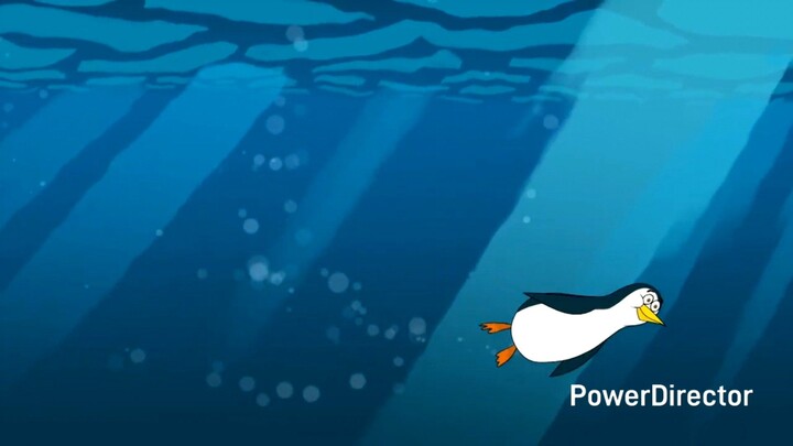 Roisin And Sean's All Things Fly Review