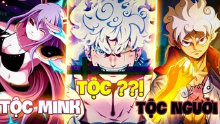 ĐÂU LÀ CHỦNG TỘC MẠNH NHẤT?! | TOÀN BỘ CÁC CHỦNG TỘC TRONG ONE PIECE