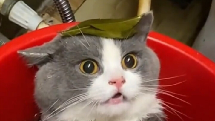 My wayward son really needs to watch this!