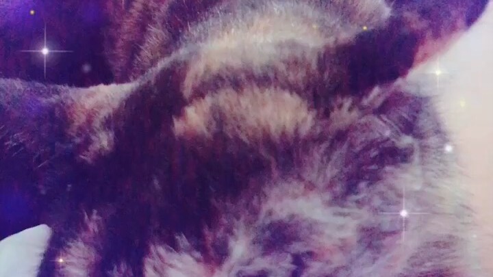 หมั่นเขี้ยว