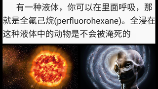 【第M+期】那些千奇百怪的冷知识：日本死刑犯并不知道自己的死刑执行日期