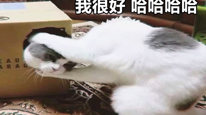 ความอยากที่จะกลับบ้าน