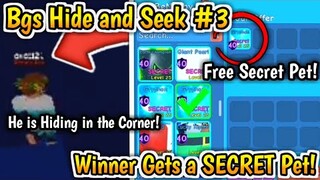 Hide and Seek Winner Gets a *SECRET* PET!! ROBLOX BUBBLEGUM SIMULATOR!!