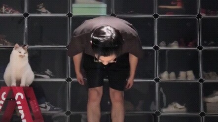 男团编舞<换猫砂>