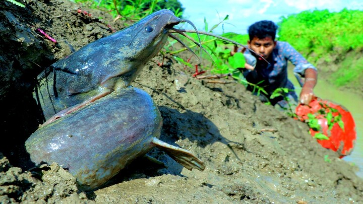 The Biggest Catch of the Day 🎣 | Wild Fishing Adventure