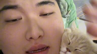 จะไม่ทำให้พ่อเลี้ยงผิดหวังเด็ดขาด ความจริงใจคือท่าไม้ตาย