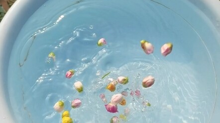 When Post-00s Start Growing Flowers