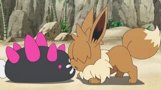 Eevee ini kulit asli!