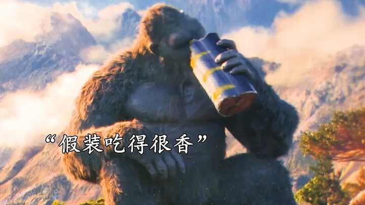 骷髅岛靓仔的日常生活
