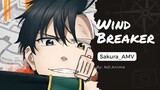 Windbreaker_AMV Sakura_MOMENT