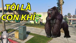 ANCESTOR và TÔI LÀ CON KHỈ | GNDTT