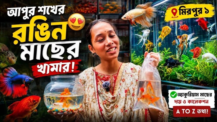 আপুর একোয়ারিয়ামের রঙিন মাছের কালেকশন! 🐠 | Exotic Aquarium Fish Price in BD