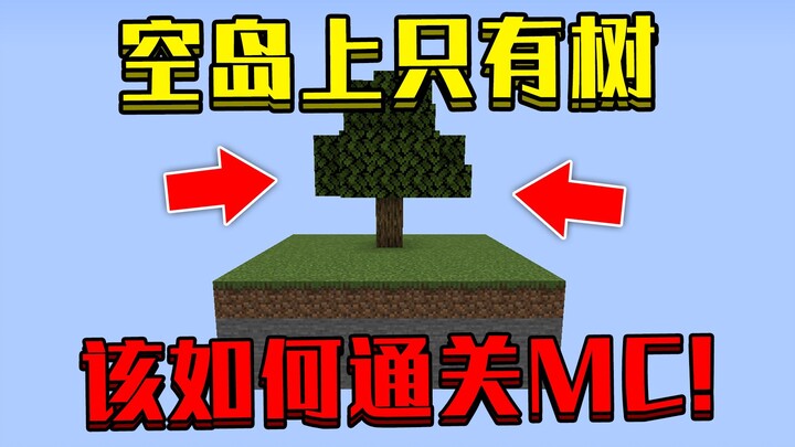 Mở màn sinh ra trên hòn đảo bay trong Minecraft chỉ với một cái cây! Làm sao vượt ải MC và đánh bại 