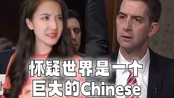 新加坡CEO被连问8次是不是中国人，美议员就这么办事？